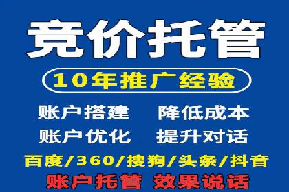 Sem优化公司实例：电商流量提升策略